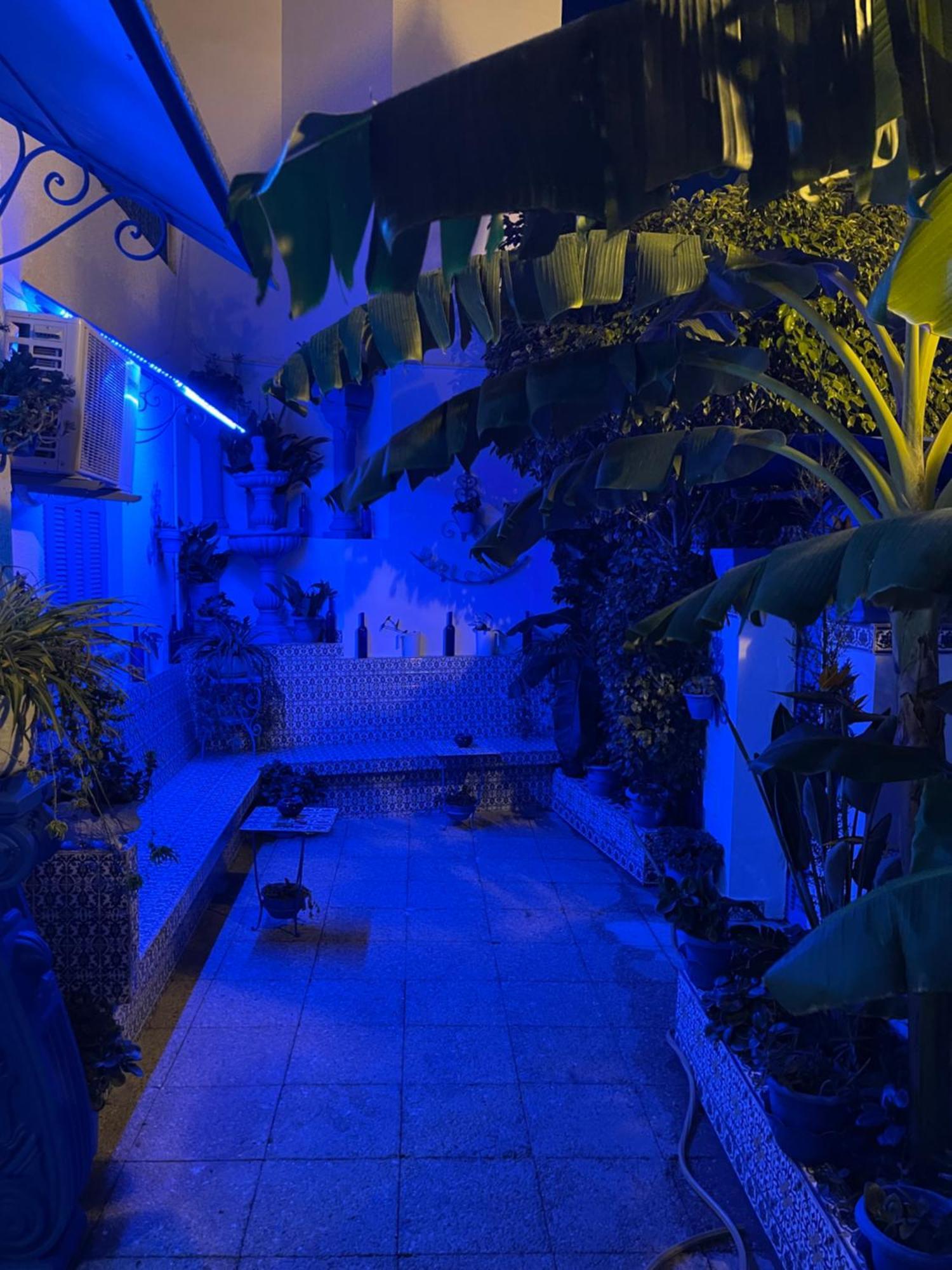 The Blue And White Perle Villa Sidi Bou Ali Buitenkant foto