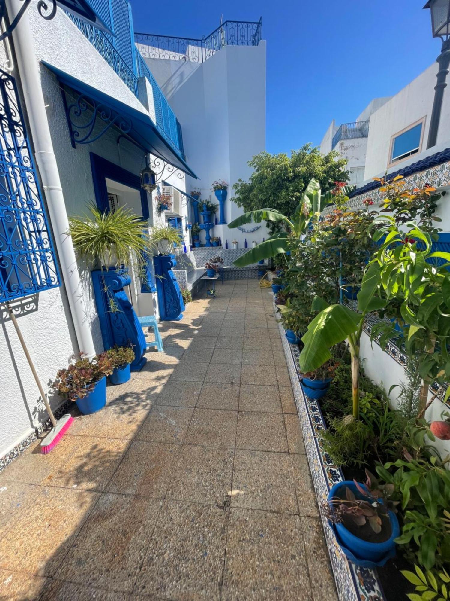 The Blue And White Perle Villa Sidi Bou Ali Buitenkant foto